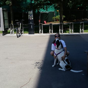 Extra TLC Dog Walking - Dog Walkers Near Me Extra TLC Dog Walking - Dog Walkers Near Me