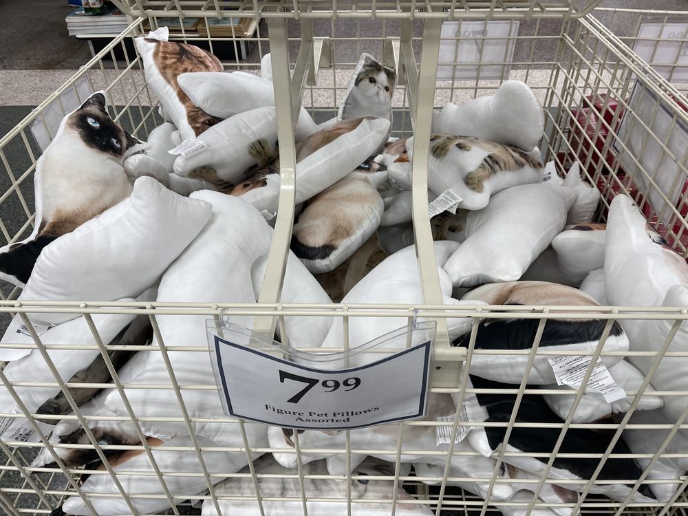 CHRISTMAS TREE SHOPS Updated August 2024 353 Photos & 12 Reviews 50 Holyoke St, Holyoke