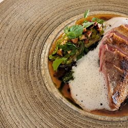 Restaurant La Société Köln - Gegrillte Mieral Taube, Geschmorte Belugalinsen, Pancetta / Grilled Mieral Pigeon, braised Beluga Lentils, Pancetta. 2024 09 02. M1.