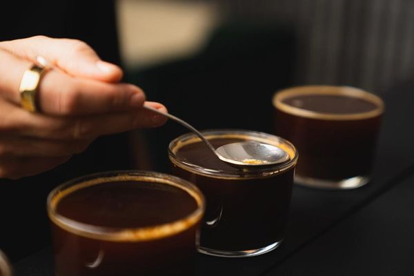 Panther Coffee - MiMo by null