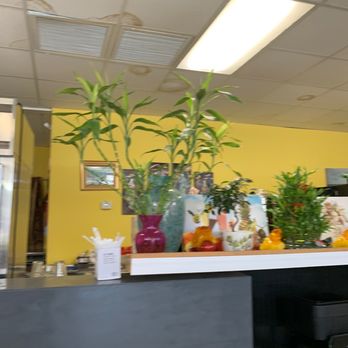 Cafe Bích Nga - a counter with plants on it - Vietnamese Near Me - Pinellas Park, Florida Cafe Bích Nga - a counter with plants on it - Vietnamese Near Me - Pinellas Park, Florida