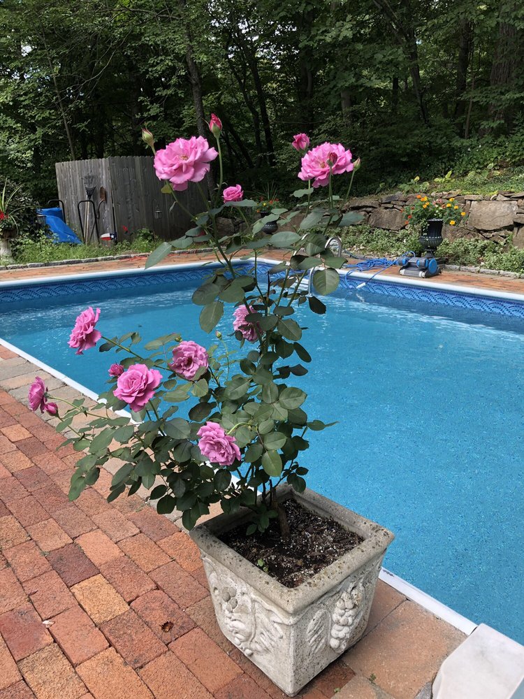 FAIRFIELD POOL 24 Photos Swimming Pools 278 Meadow St, Fairfield