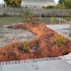 Jimmy's Home and Lawn maintenance - Gardenias Lilly's and in berries with drip irrigation on a timer. Great work should hopefully be low maintenance and look good for awhile.