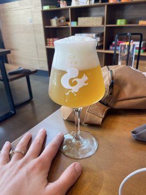 Mighty Squirrel Taproom & Kitchen by null