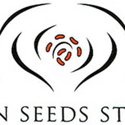 Seven Seeds Studio