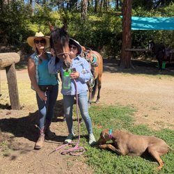 Wild At Heart Horse Rides
