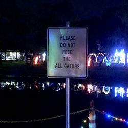 Dickinson Festival of Lights