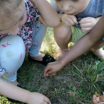 A to Z Fun Care - Exploring nature outdoors! - Preschools Near Me - Potomac, Maryland