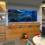 Photo of Pike Branch Library - IMCPL