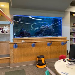 Pike Branch Library - IMCPL - Aquarium in children's section
