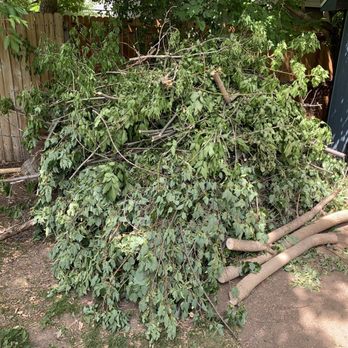 Manuels Mighty Movers - Wood branch trimmings - Movers Near Me - Fort Lupton, Colorado