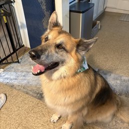 Max