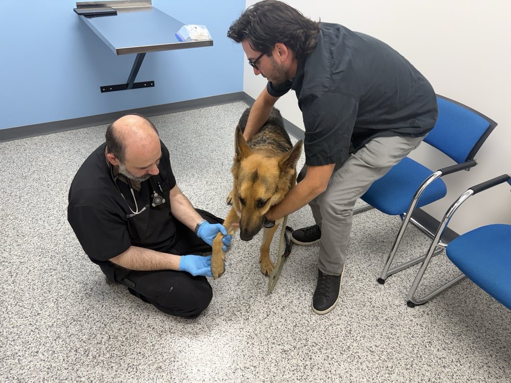 Atlas Veterinary Hospital