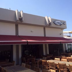 Çaça Balık