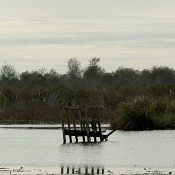 Ragin Cajun Airboat Tours - Wood stand - Boat Tours Near Me - Luling, Louisiana Ragin Cajun Airboat Tours - Wood stand - Boat Tours Near Me - Luling, Louisiana