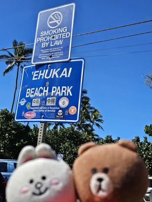 ʻEhukai Beach Park by null