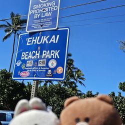 Ehukai Beach Park