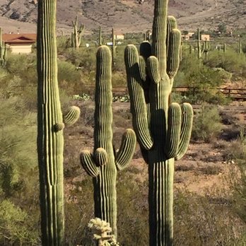Goldfield Ghost Town - Landmarks & Historical Buildings Near Me - Apache Junction, Arizona Goldfield Ghost Town - Landmarks & Historical Buildings Near Me - Apache Junction, Arizona