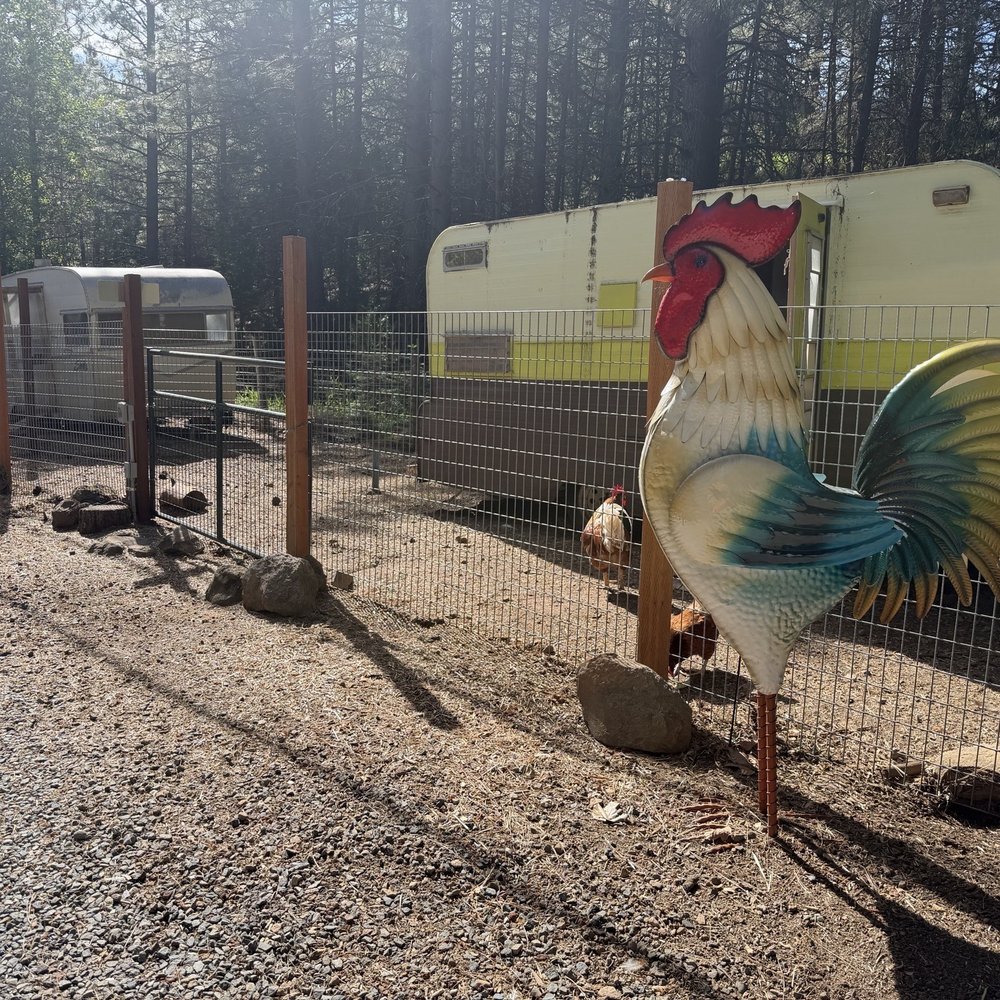 Trailer Lane Campground - RV Parks Near Me - Weed, California Trailer Lane Campground - RV Parks Near Me - Weed, California