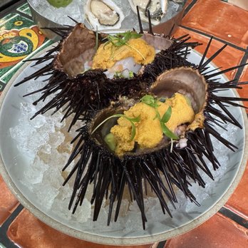 Holbox - Latin American Near Me - Los Angeles, California Holbox - Latin American Near Me - Los Angeles, California