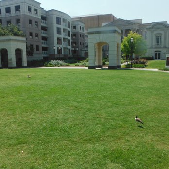 Alicia's Lawn - Alicia’s Lawn - Parks Near Me - Charleston, South Carolina
