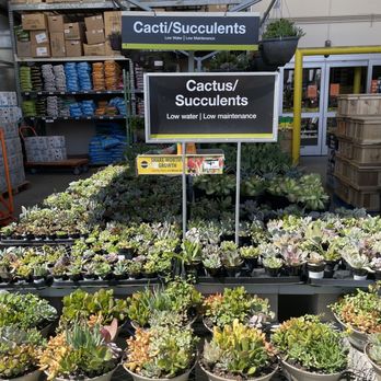 The Home Depot - Succulents - Hardware Stores Near Me - Newark, California The Home Depot - Succulents - Hardware Stores Near Me - Newark, California