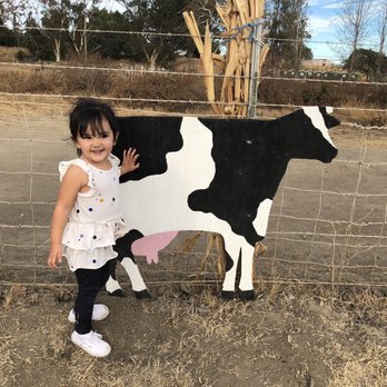 Joan's Farm & Pumpkin Patch - Pumpkin Patches Near Me - Livermore, California