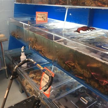 Pacific Seafood Market - Tanks of live fish and shellfish - Seafood Markets Near Me - Providence, Rhode Island