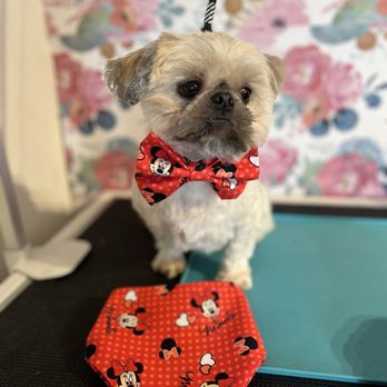 Desert Poppy Pet Parlor - Pet Groomers Near Me - Montrose, Colorado Desert Poppy Pet Parlor - Pet Groomers Near Me - Montrose, Colorado