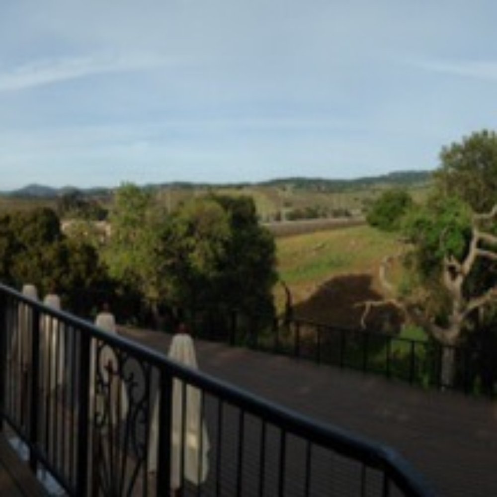 Trinitas Cellars - Pano view from the vineyards - Wine Tasting Room Near Me - Napa, California Trinitas Cellars - Pano view from the vineyards - Wine Tasting Room Near Me - Napa, California