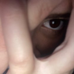 Gay ass
