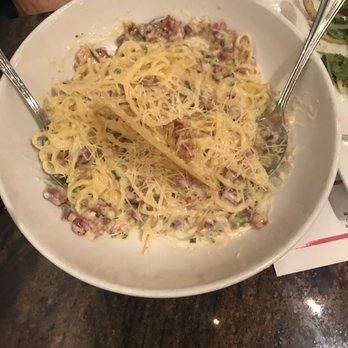 Cafe Barbosso - Carbonara - Italian Near Me - Sarasota, Florida Cafe Barbosso - Carbonara - Italian Near Me - Sarasota, Florida