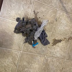 Bottom Line Property Management - Lint and trash and UNDERWEAR that was in the laundry closet of our unit