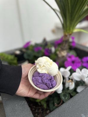 Stella Jean's Ice Cream Carlsbad by null