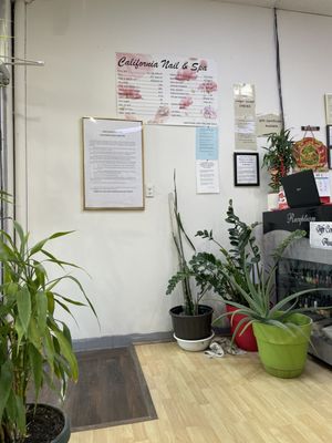 California Nails & Spa