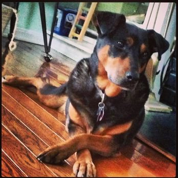 Coastal Creature Care - Pet Boarding Near Me - Ocean View, New Jersey