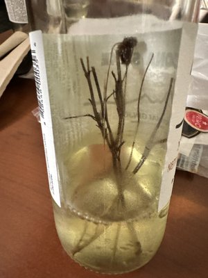 Arizona Sake, not a liquor store by null