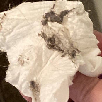 Sparkles Are Maid - a small part of what I wiped from behind the master bath toilet - Home Cleaning Near Me Sparkles Are Maid - a small part of what I wiped from behind the master bath toilet - Home Cleaning Near Me