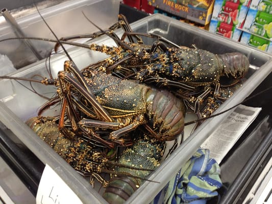 Oki's Seafood Corner Foodland by null