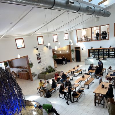 Maine Beer Company by null