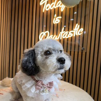 Pawtastic - Pet Groomers Near Me - Tustin, California Pawtastic - Pet Groomers Near Me - Tustin, California