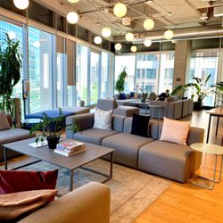 Action Property Management