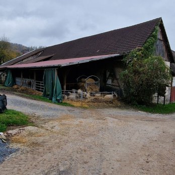 Hottenbacher Hof - Stall - Gastropubs Near Me - Klein-Bieberau, HE