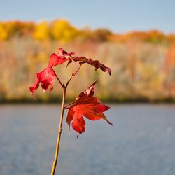 Plainsboro Preserve - https://youtu.be/DWFTB5AHxDQ