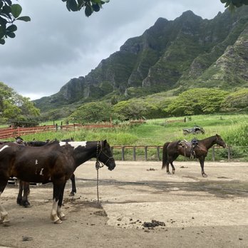 Kualoa Ranch - Horseback riding - Tours Near Me - Kaneohe, Hawaii Kualoa Ranch - Horseback riding - Tours Near Me - Kaneohe, Hawaii