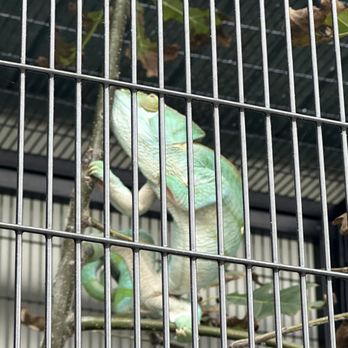 The Creature Conservancy - Community Service/Non-Profit Near Me - Ann Arbor, Michigan