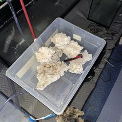 Chris’ Aquarium Maintenance