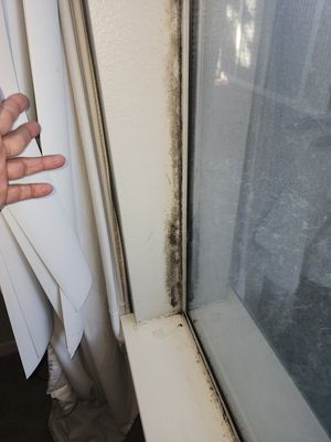 One Call Services Water Damage Experts on Yelp