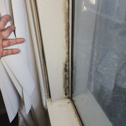One Call Services Water Damage Experts - Mold growth in window sills
