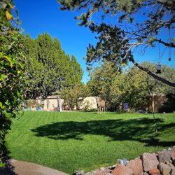 Sprinklers Rx